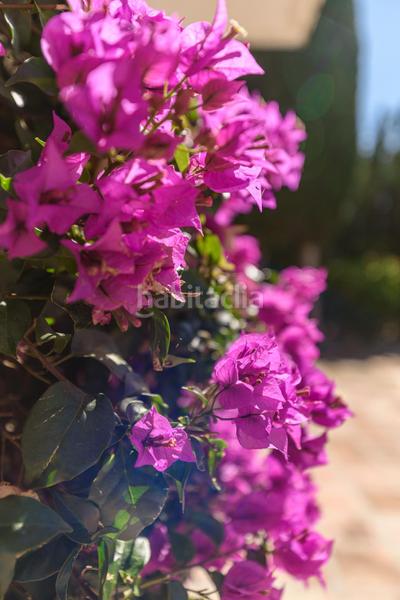 Foto c74eb302-742e-40f2-8ef3-576a3402a03c. Casa amb aparcament piscina a Nueva Andalucía centro Marbella