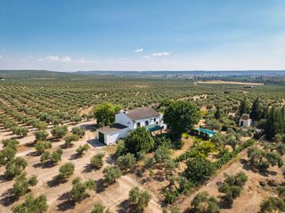 Maison à Marmolejo. La aragonesa  una auténtica finca andaluza con historia y caráct