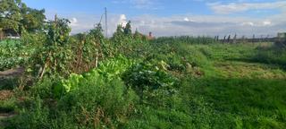Terrain rsidentiel en Quintes - Arroes
