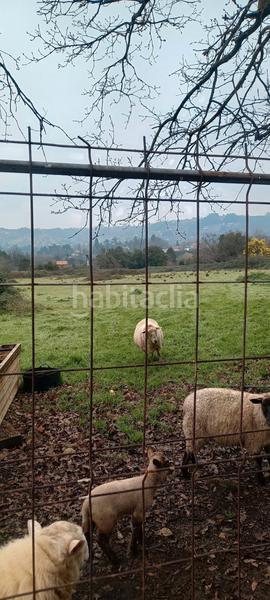 Foto 832ed6ee-26e8-4c5b-b549-13882e7f2913. Terreny residencial a Bernueces Gijón