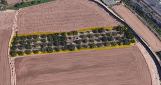 Finca rstica en Centro Ciudad. Terreno rstico de 1.865m en venta en paterna, junto al colegio
