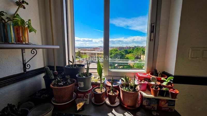 Foto 979a26b2-df10-415f-b40c-07034bc61b72. Pis a El Alborgí Paterna