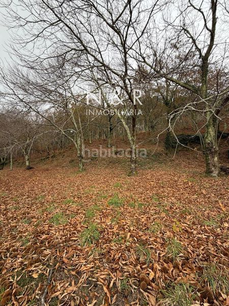 Foto d8836b00-5f90-45e6-a928-d899b96af143. Casa amb calefacció aparcament a Teo