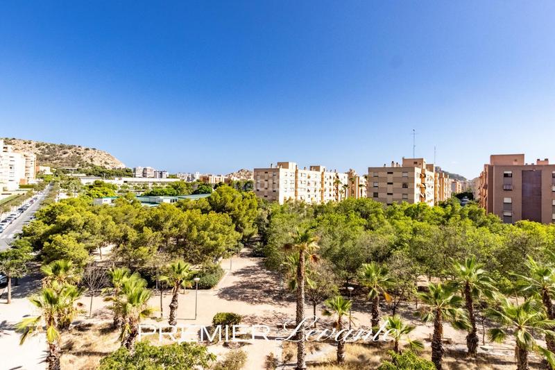 Foto a16493d2-4f0b-4795-86d0-1ab3351e979b. Piso moderno piso con piscina y terraza en Garbinet - Parque de las Avenidas Alicante