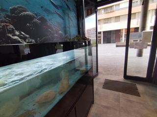 Umzug Geschäftsraum  Sociedad santa agueda kalea. Local de actividad pescaderia