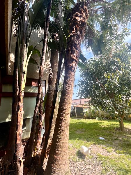 Foto bcce4da5-12dc-41da-9ed6-666ea8fd9e4e. Chalet exclusivo chalet con piscina en el casco urbano en Pontevedra