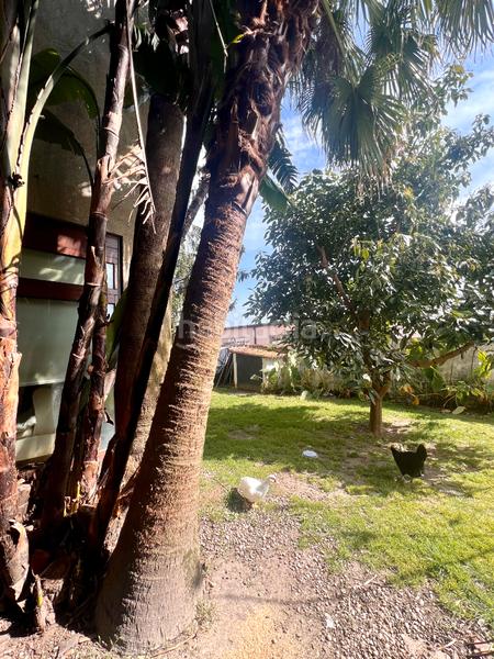 Foto dcf8a603-bbda-4921-ac0d-2cf31caa47dc. Chalet exclusivo chalet con piscina en el casco urbano en Pontevedra