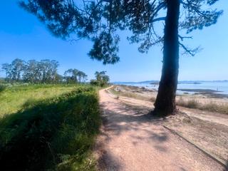Propriété à Vilanova de Arousa. 21.000m2 suelo rústico común.