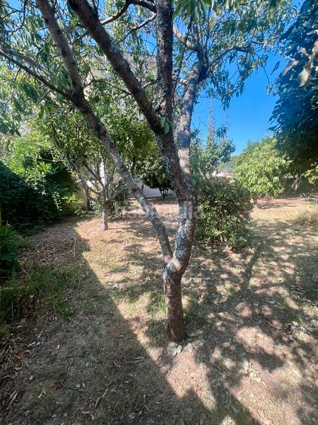 Foto c17044e6-ec16-491d-ad4c-af26939c7ab7. Chalet con camino riscaldamento parcheggio piscina in Pontevedra