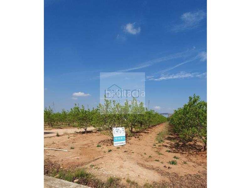 Foto fb13d8d0-7fe1-4601-baff-b7ae015c3d32. Fondo rustico in Benifaió