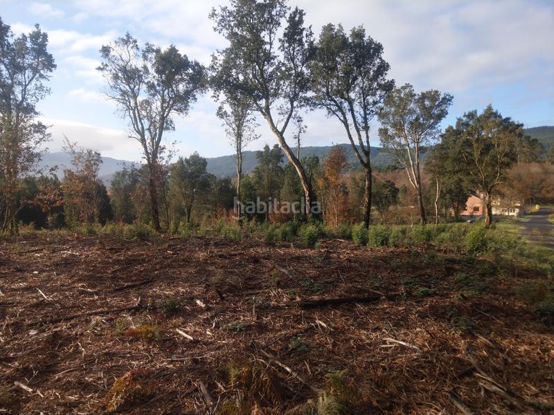 Foto 1bc581b6-7e04-486f-9d4e-79463c4c5fca. Finca rústica en urbanización ferreiriños 25 vendo gran terreno rustico con 5.965m2 muy bien situado en Teo