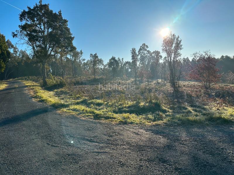 Foto b96caff6-2cb6-4e28-9f65-ac5608efbfee. Finca rústica en urbanización ferreiriños 25 vendo gran terreno rustico con 5.965m2 muy bien situado en Teo