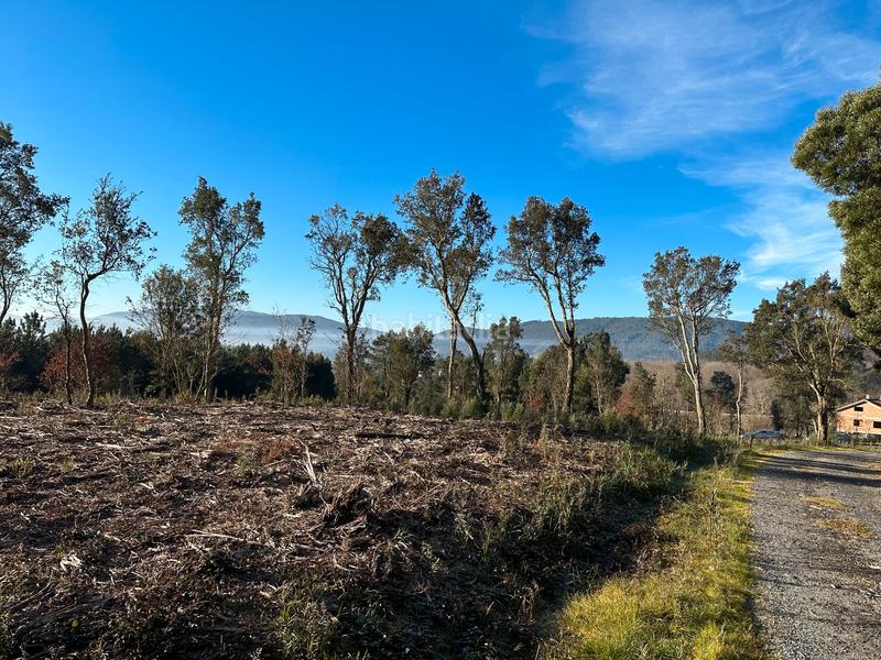 Foto c8e6cb85-471a-42fc-9645-516171e4fe2d. Finca rústica en urbanización ferreiriños 25 vendo gran terreno rustico con 5.965m2 muy bien situado en Teo