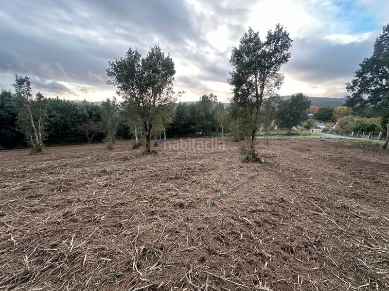 Foto 5950fb2b-1035-4cf2-8ea1-b949797f0d02. Lloguer finca rústica a urbanización ferreiriños 25 a Teo