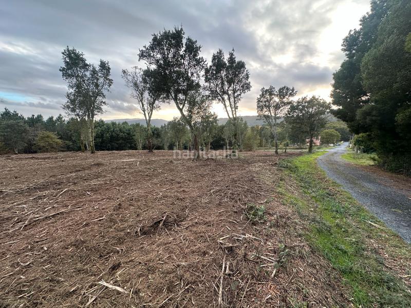 Foto 930dd206-7ee9-4b8e-9191-c33f286cf2e3. Lloguer finca rústica a urbanización ferreiriños 25 a Teo