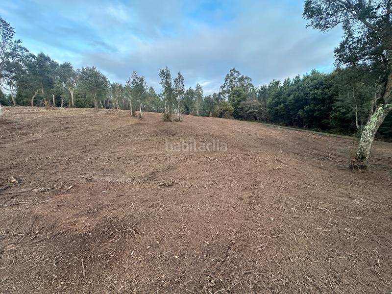 Foto dd5692a6-0140-473e-9711-c7b871e49d5c. Lloguer finca rústica a urbanización ferreiriños 25 a Teo