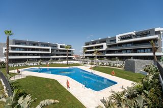 Flat  Reverendo francisco sarrio paya