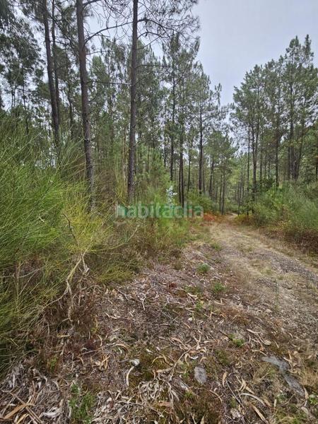 Foto a52fa74a-7d4c-489a-9a56-7a975303460d. Casa en Baiona