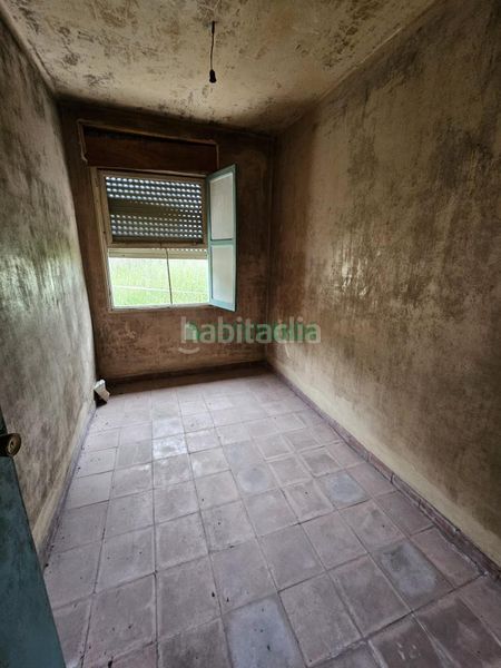 Foto 7addef81-9000-435b-8e7a-f4477300b0df. Pis a Coia Vigo