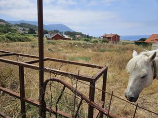 Residential Plot in Oia