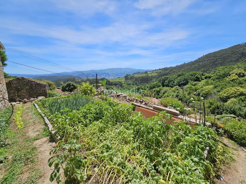 Foto d8aeab74-685d-4b6f-90c1-ad86cb939b94. Casa a Arbo
