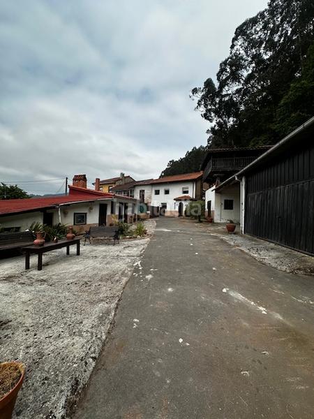 Foto a5b5c49c-c23e-4847-b8f9-7bec81b6abb1. Casa aparellada a aldea peñaullan 111 a Pravia