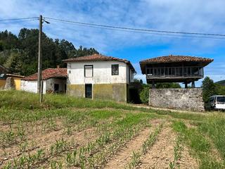 Casa  Lugar pramaro 24. Casa con horreo pramaro