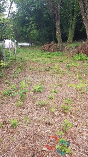 Foto 65416308-3013-494a-aa08-b77897cd8195. Wohngrundstück in Parroquias Rurales Pontevedra