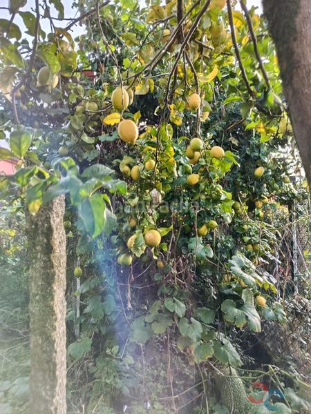 Foto 0922a4a8-460c-486b-9d75-a684ddd28e9e. Terrain résidentiel dans Marín