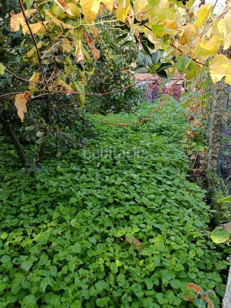 Foto 1a16a319-cb9d-443f-b57f-81de55a737e0. Terrain résidentiel dans Marín