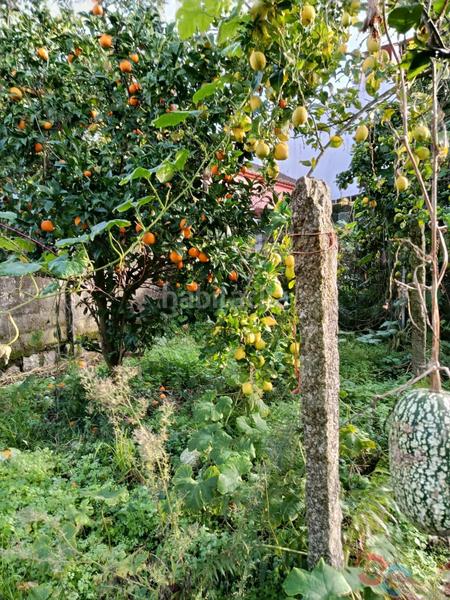 Foto 53666104-3326-4078-8c5b-e73024ad4326. Terrain résidentiel dans Marín