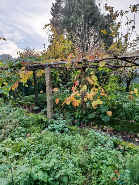 Foto 9a8edc20-ce69-4c62-8f2d-1a74cc8622bb. Terrain résidentiel dans Marín