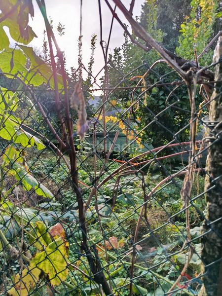 Foto c95ac45a-d5f1-4c77-9a70-e3a21f568b89. Terrain résidentiel dans Marín