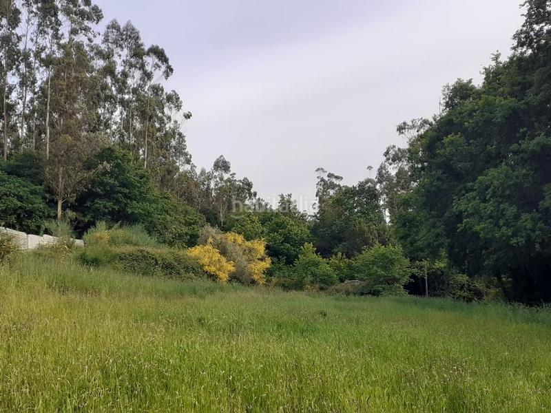 Foto 1988380f-6c94-4b2e-8877-eea92a87e240. Terrain résidentiel dans lugar esparis 1 dans Brión