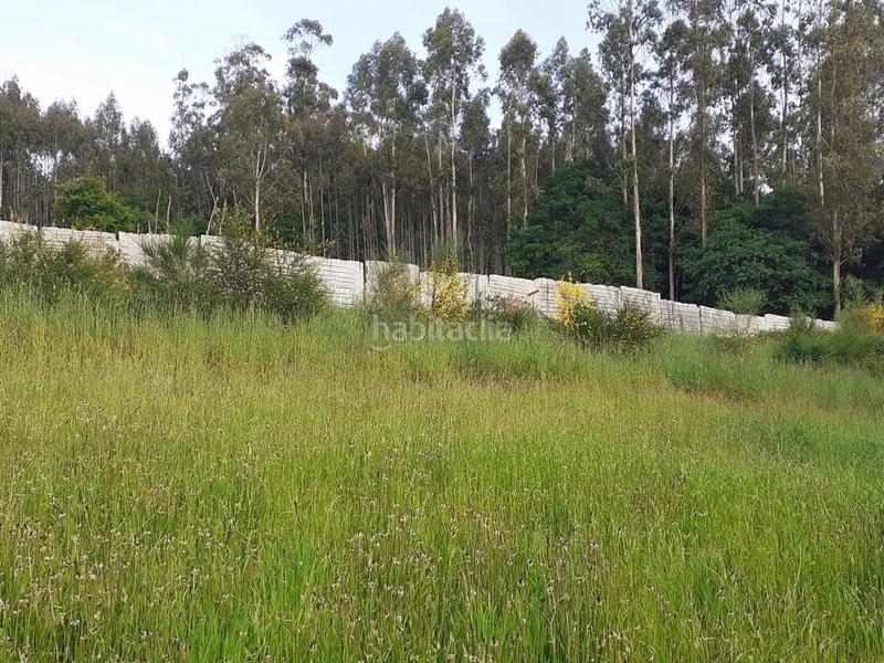 Foto dc5f8db3-518c-4042-a3b0-72e8b1de5182. Terrain résidentiel dans lugar esparis 1 dans Brión
