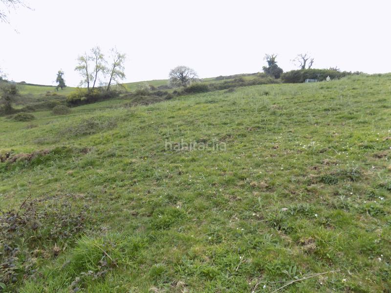 Foto 0a0da41e-5aa8-4def-895a-2c2dddb5cf69. Finca rústica a Parroquias Norte Siero