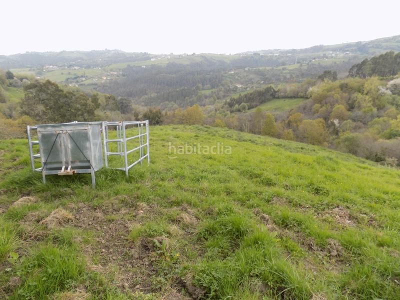 Foto 31a02f2e-a3ef-4cc2-a1aa-d4a2bcf5eabb. Finca rústica a Parroquias Norte Siero