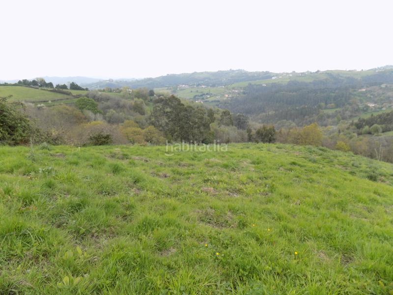 Foto 439dc12d-cff2-479b-9c95-86d5fe83a667. Finca rústica a Parroquias Norte Siero