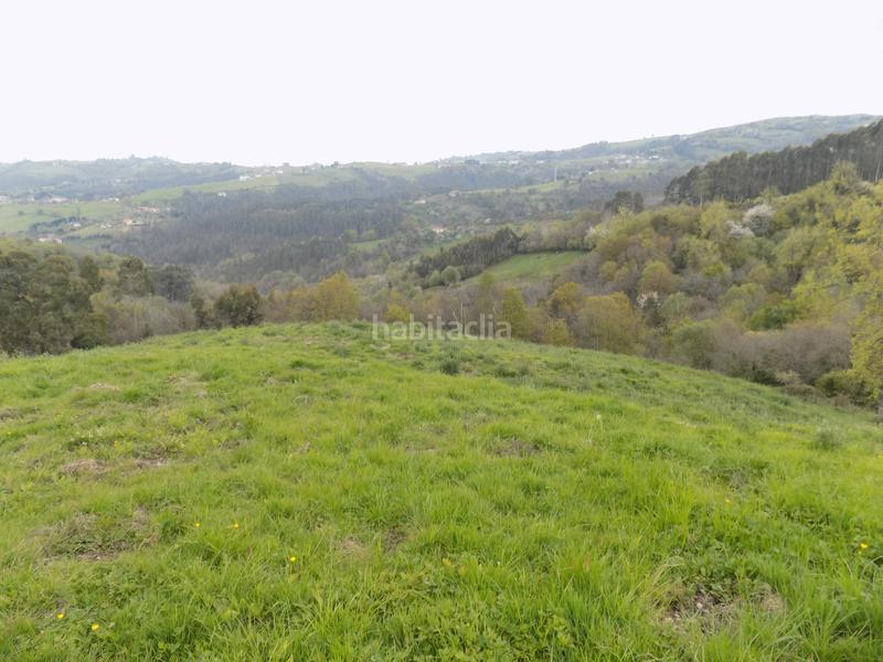 Foto b9bbba3d-ab6e-4818-a745-456e6d343c56. Finca rústica a Parroquias Norte Siero