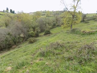 Fondo rustico in Parroquias Norte. Venta finca no edificable, siero. asturias