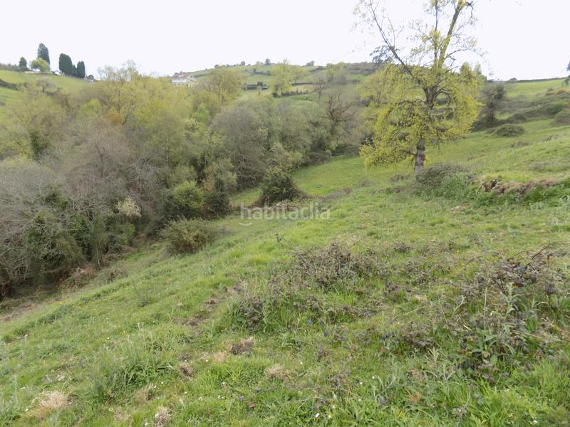 Foto cb8b3dab-fd35-42e5-8145-3a881d13b9ef. Finca rústica a Parroquias Norte Siero