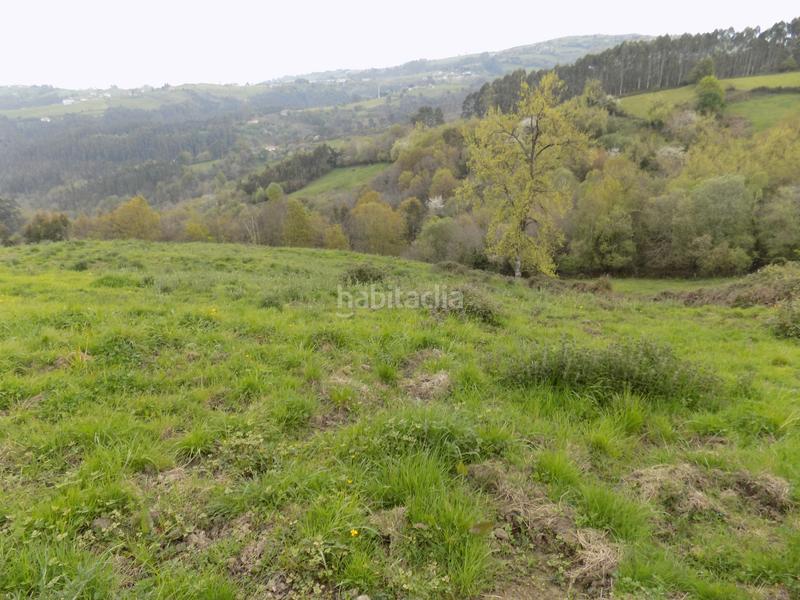 Foto e4b9f6bd-997d-426f-83dd-df211d4c9cc2. Finca rústica a Parroquias Norte Siero