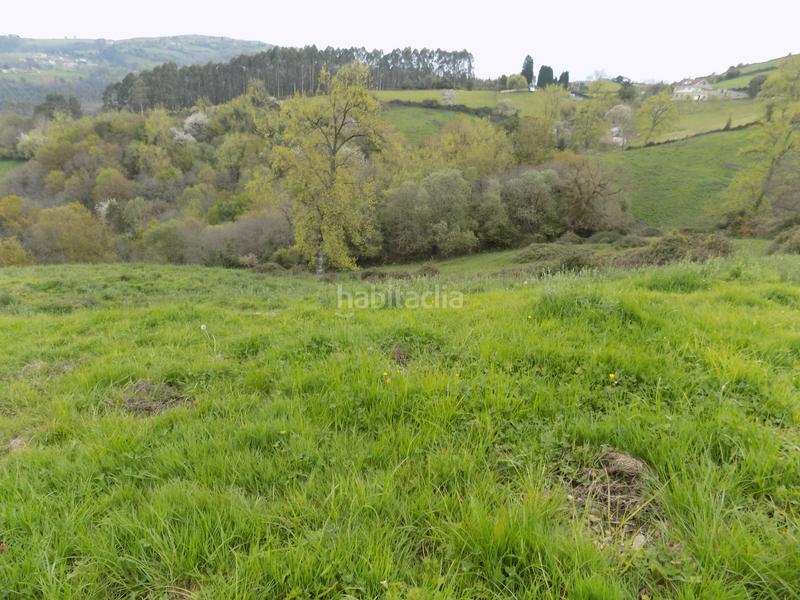 Foto fa686c30-14d1-49b4-b854-6951649e00e3. Finca rústica a Parroquias Norte Siero