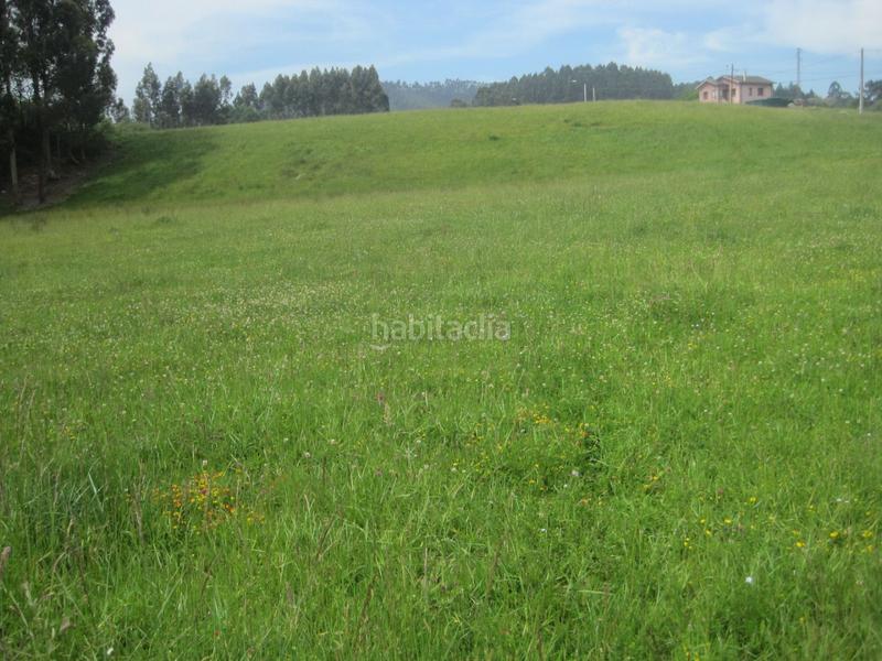 Foto d65c8c4f-0f96-4caf-a60b-68fa3baf11b1. Terreno residencial en Sierín Gijón