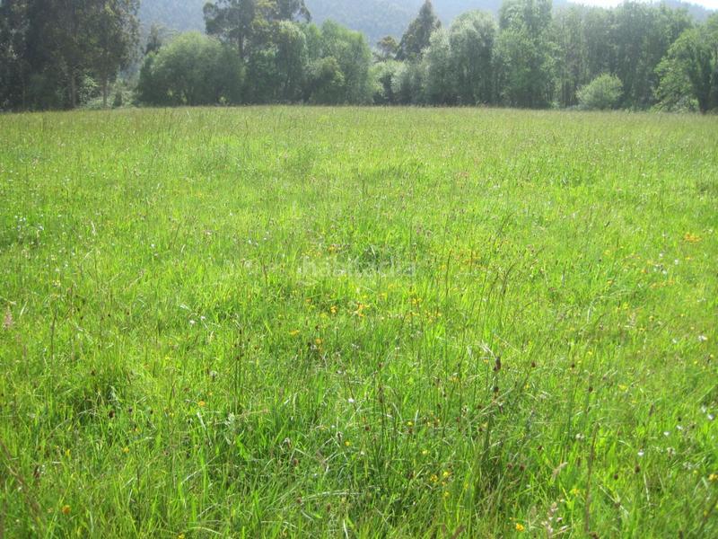 Foto d10ad3df-74aa-4f19-8198-445731bdd76e. Terreno residenziale in Sierín Gijón