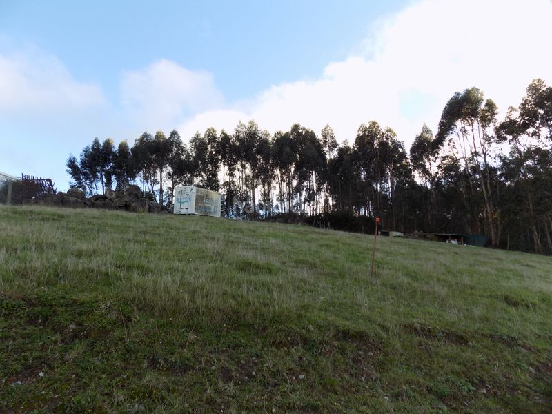 Foto c2f75b86-0134-4814-b9f5-b40a2530cee4. Finca rústica a Cenero Gijón