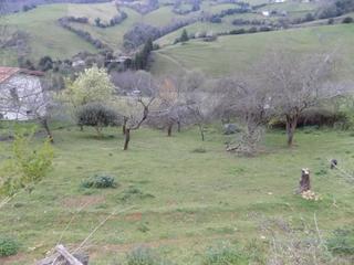 Terreno residenziale  N/a