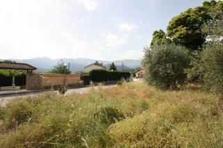 Terrain résidentiel à Camino piedra de los berrocales 25t