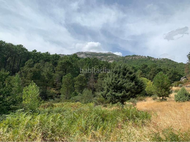 Foto 6caac151-78db-4bee-92c1-8815dc35f0c0. Mas dans av-p-713 8 dans Guisando