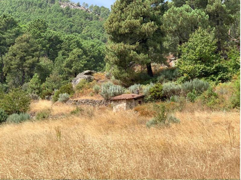 Foto 7f807beb-e8d6-4e6d-be5a-1020499e912c. Mas dans av-p-713 8 dans Guisando